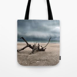 Beach Day Storm Tote Bag