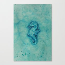 seahorse Canvas Print