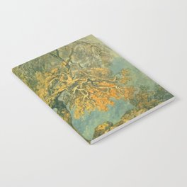 Joseph Mallord William Turner A Great Tree Notebook