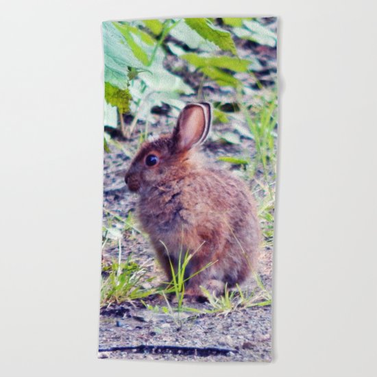 Easter Bunny perhaps Beach Towel