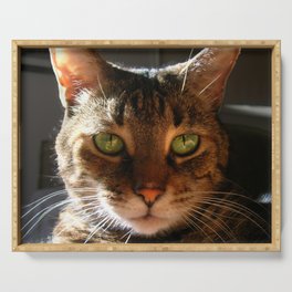 Marley the Mackerel Tabby Cat with Intense Green Eyes Serving Tray
