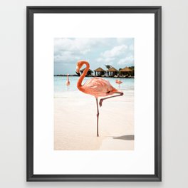 Pink Flamingo Beach Summer Photo | Aruba Tropical Island Art Print | Caribbean Travel Photography Framed Art Print