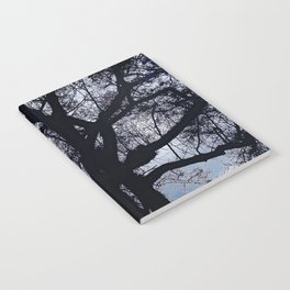 Early Spring Bare Tree  Notebook