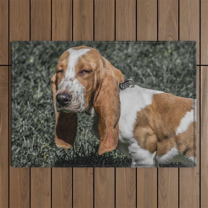 Skeptical Basset Hound Puppy Squinting Outdoor Rug