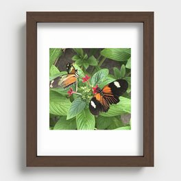 Butterflies In Garden  Recessed Framed Print