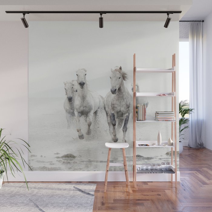 Camargue White Horses Running in Water - Nature Photography Wall Mural