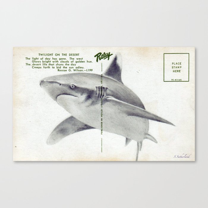 Postcard Shark Canvas Print