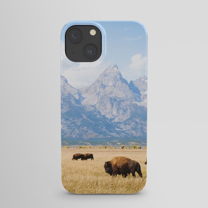 Old West iPhone Case