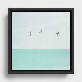 3 Pelicans Framed Canvas