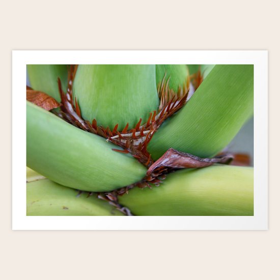 Stem Art Print