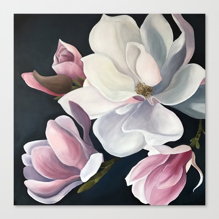 Magnolia Blooms Canvas Print