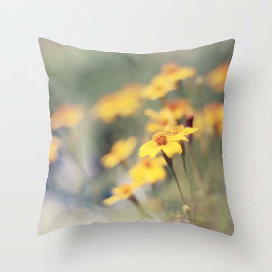 Orange zest Throw Pillow