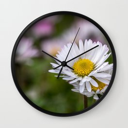 Colourful daisy field close up Wall Clock | Daisies, Floral, Green, Closeup, Photo, Colours, Love, Flower, Yellow, Flora 