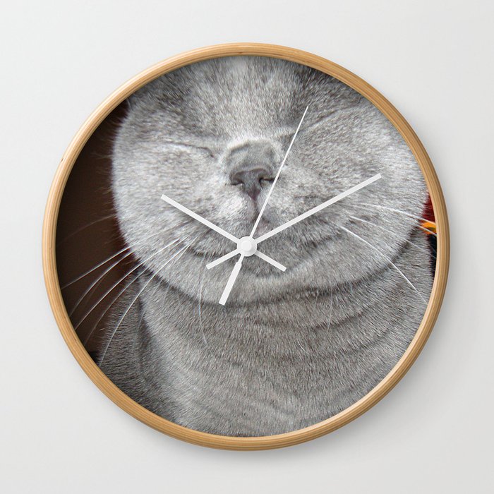 Cat Paparazzi Wall Clock