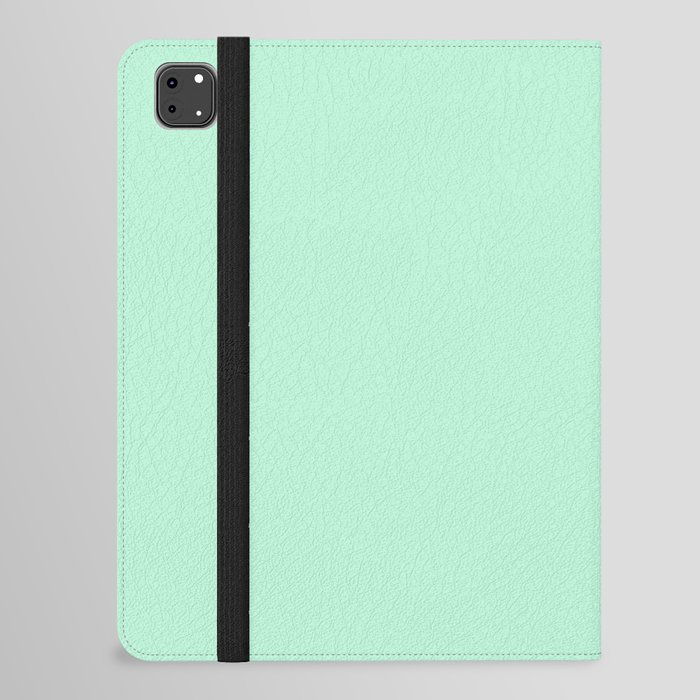 Airy Green iPad Folio Case