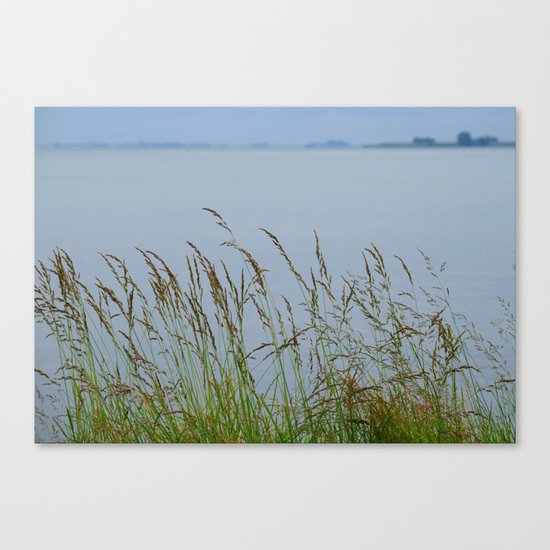 Grass Canvas Print