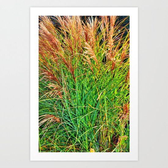 Golden Sea Grass Art Print