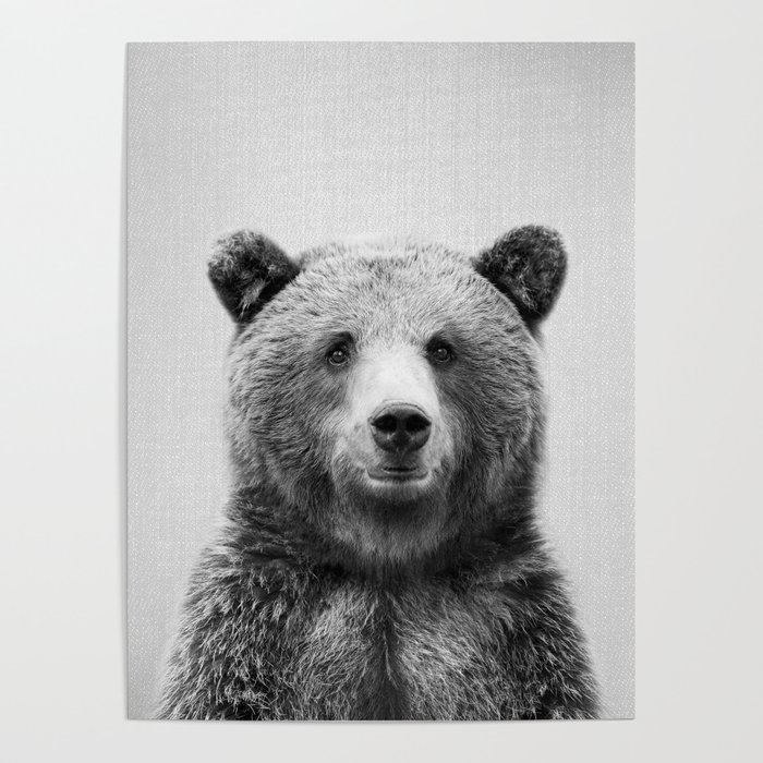 Grizzly Bear - Black & White Poster