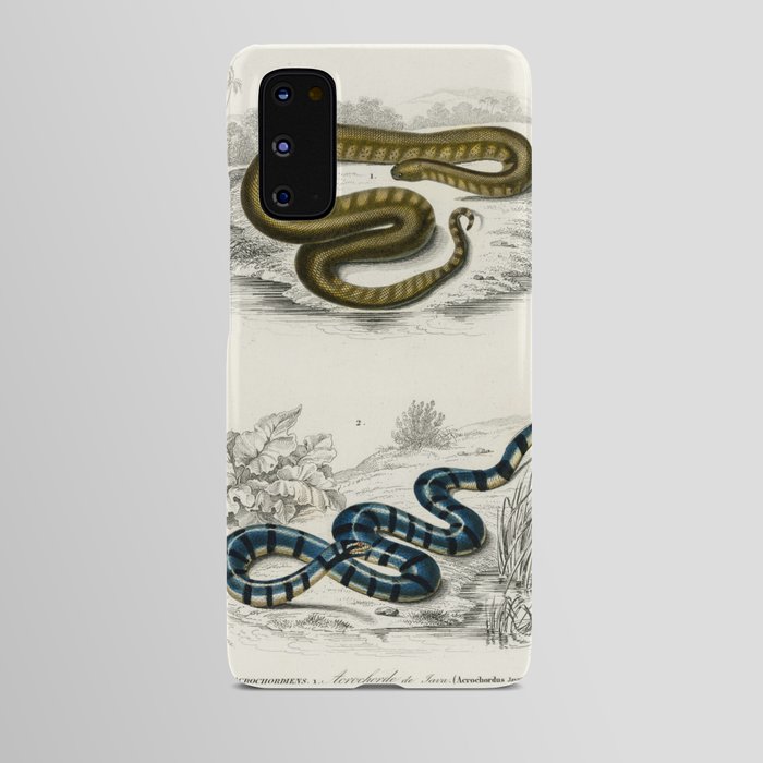 Elephant Trunk Snake & Columbrine Sea Krait Android Case