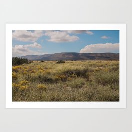 West Texas Landscape Art Print