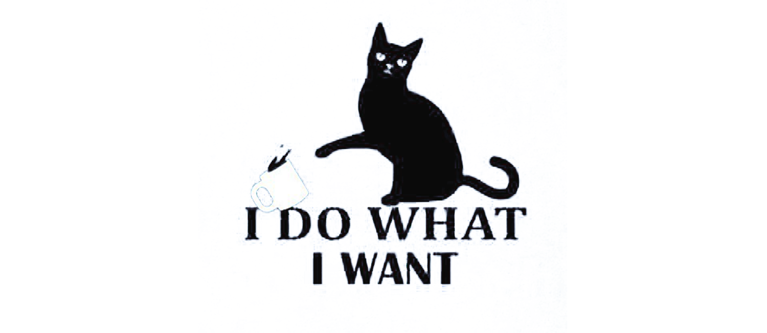 I Do What I Want Funny Joke Cat Animal T Shirt Coffee Mug By
