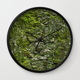 Green wall covered with moss and little plants Wall Clock