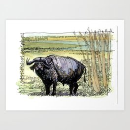 Cape Buffalo, Lake Nakuru, Kenya Art Print
