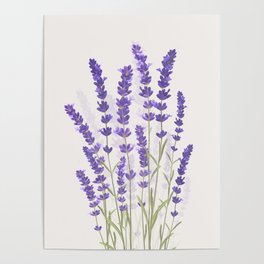 Lavender II Poster