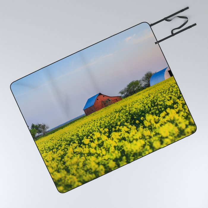 The Farm - Red Barn in Yellow Canola Field at Dusk on Spring Evening in Oklahoma Picnic Blanket