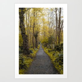 A walk in Highgate Art Print | Nature, Path, Photo, Dark, Highgatecemetery, Cemetery, Yellow, Digital, Landscape, Fall 