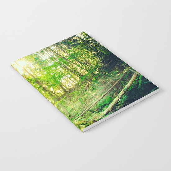 Down the dark ravine II Notebook