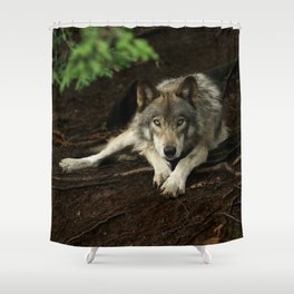Intense Timber Wolf Shower Curtain
