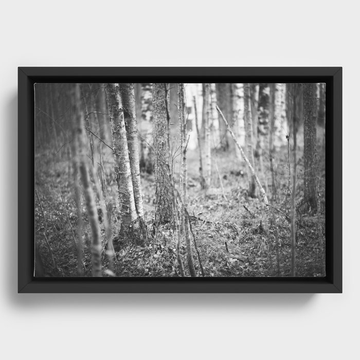 Forest Framed Canvas