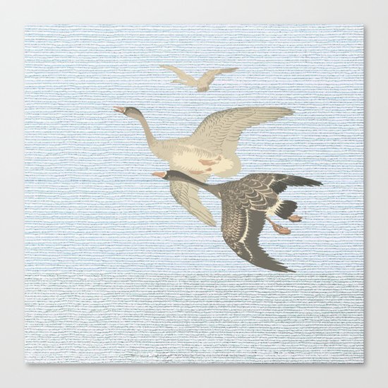 Nothing to match the flight of wild birds flying Canvas Print