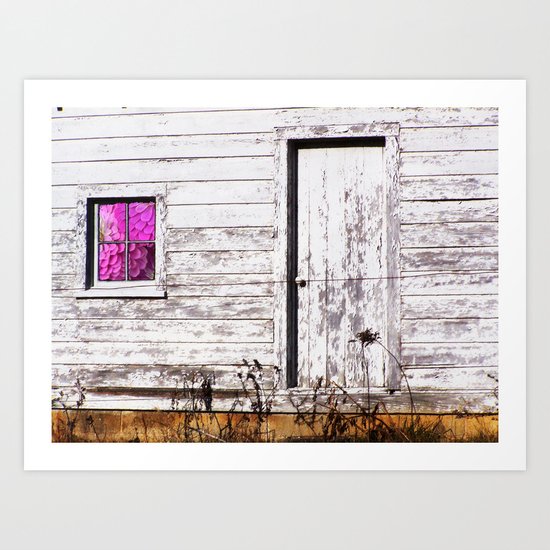 Siler City Barn with Zinnia Art Print