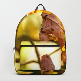 The leaf Backpack | Photoart Naegele, Dekoration, Decoration, Photo, Nature, Blaetter, Autumn, Leaf, Nr1610188, Herbstlich 