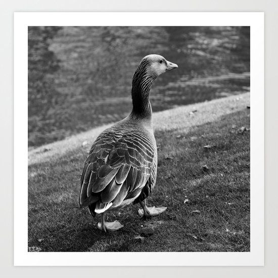 My Feathery Friend Art Print