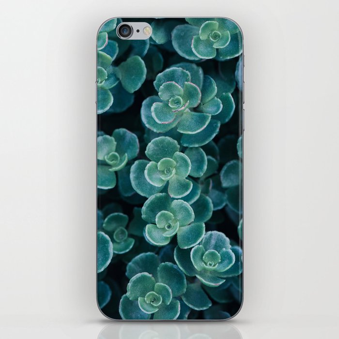 Succulents in Shades of the Sea iPhone Skin