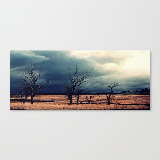 The relief of an Aussie drover Canvas Print