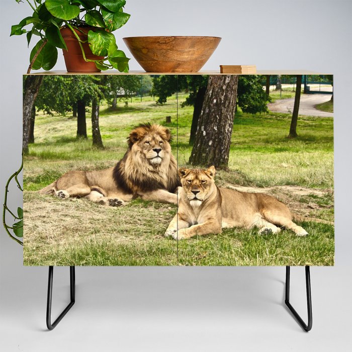 South Africa Photography - Two Beautiful Lions Laying On The Grass Credenza