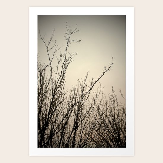 Reach Art Print