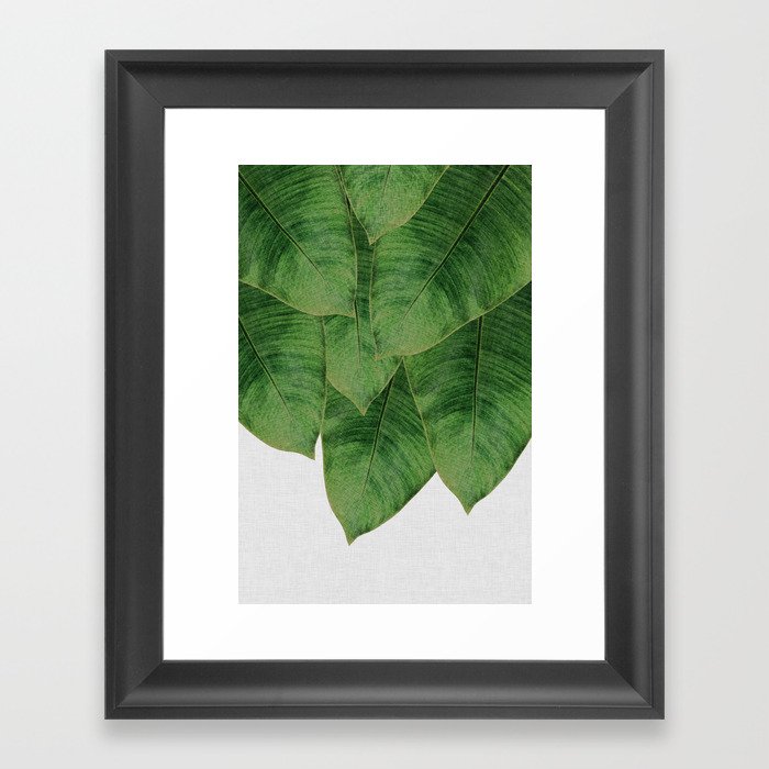 Banana Leaf III Framed Art Print