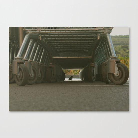 Little Bird Canvas Print