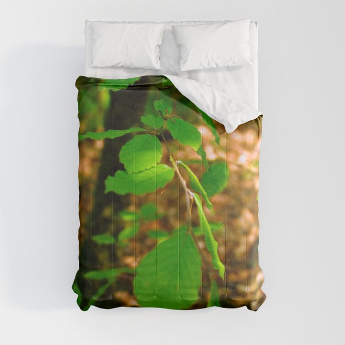 green wood Comforter