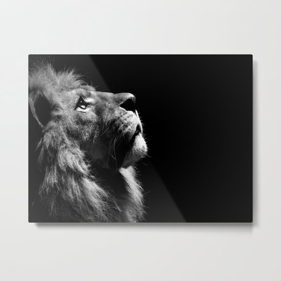 Lion Metal Print