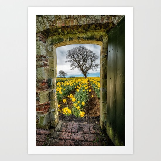 Outside The Gate Art Print