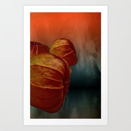 physalis orange Art Print