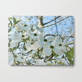 Dogwood 6 #easter Metal Print | Spring, Garden, Bloom, Petal, Flower, Poem, Blossom, Tree, Beautiful, Christ 