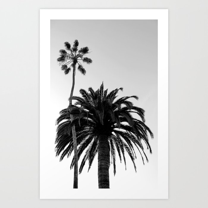 Palm Trees Windansea Art Print