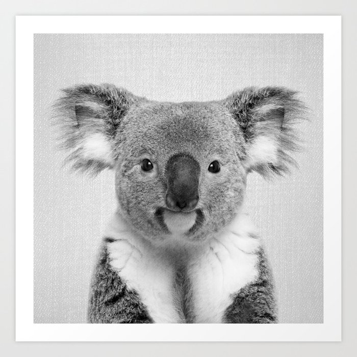 Koala 2 - Black & White Art Print